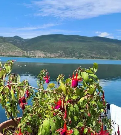 Rosa * Lini
