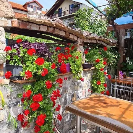 Rosa Bed & Breakfast *