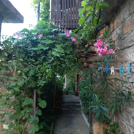 Bed & Breakfast Rosa Lini