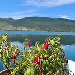 Rosa * Lini