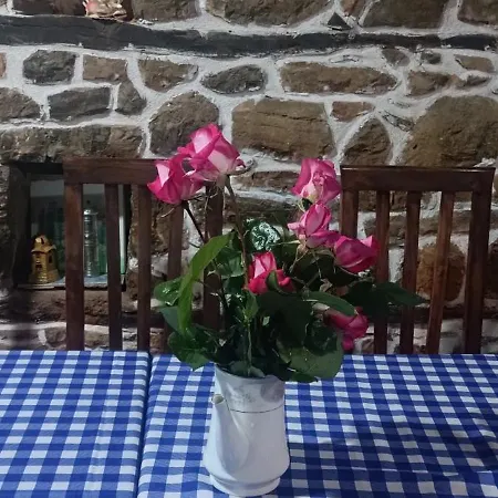 Rosa Bed and breakfast *